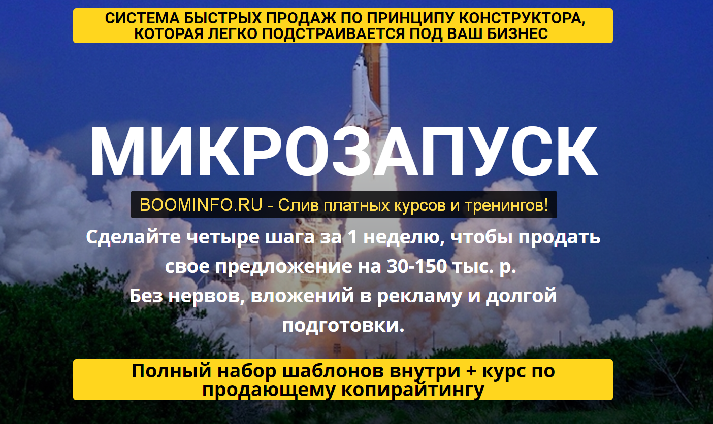 [Таша Лео] Микрозапуск - система быстрых продаж (2_0.png